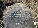 image of grave number 740456